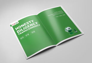 工业与数字的交融 锅炉厂产品画册与网站设计的协同创新