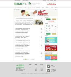 官方网站设计的艺术与科学 打造企业数字形象的核心