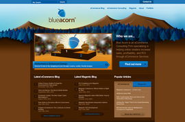 自然风韵 融合生态美学的网页设计案例展示