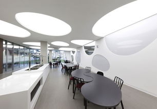 从生产线到网站 打造现代化食品工厂的一站式设计与装修指南