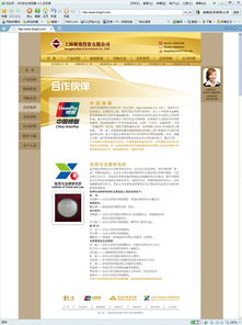 网站设计与电脑平面设计 数字时代的视觉艺术与用户交互